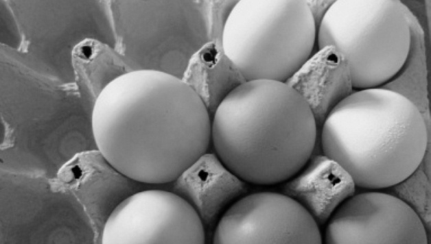 ACCC focused on potential fowl play in the egg industry