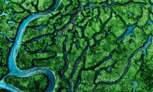 So hot right now: Hong Kong is getting its green taxonomy