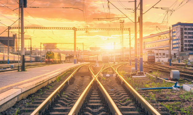 ‘Bright stars’ for businesses and banks targeting net zero: building a transparent and credible path (and avoiding greenwashing)