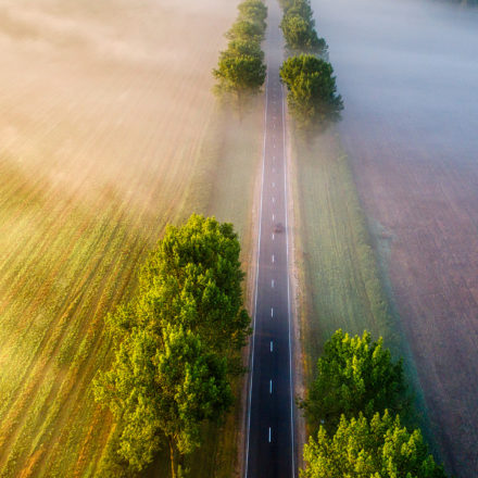 50 years and counting: China and Australia look to net zero path