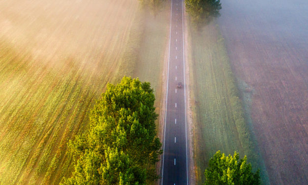 50 years and counting: China and Australia look to net zero path