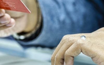 This quarter in CBDCs: Digital Euro approaches, Hong Kong and Australia pilot CBDC use cases, Singapore and New York look at payments (and more)