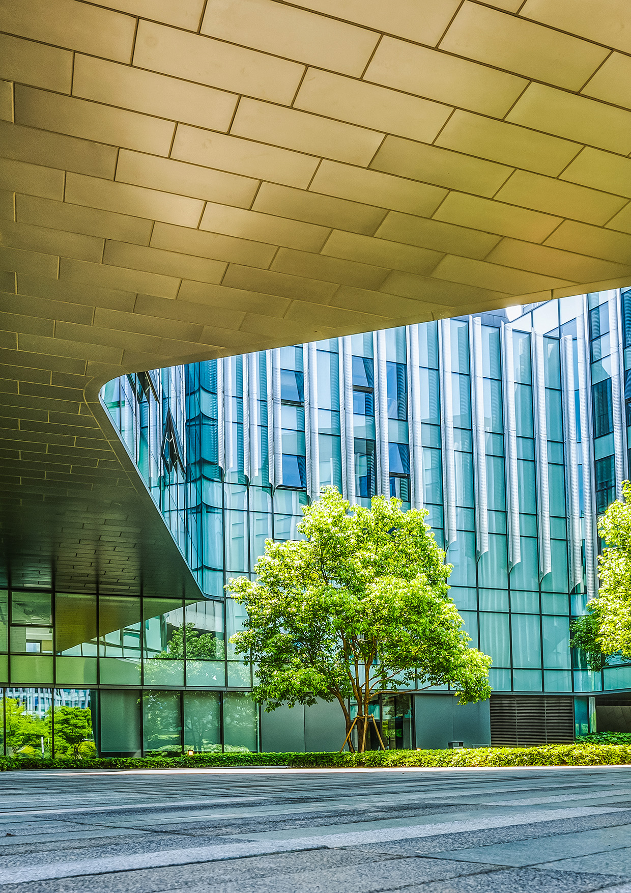 The Quiet Pulse of Boao (And Why the World is Watching a Small Fishing Town)