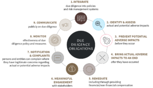 Graphic showing the aspects of the new CSDDD, from integrating policies to identifying risks and mitigating and preventing impacts.