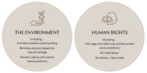 Graphic showing what the CSDDD covers - human rights and the environment