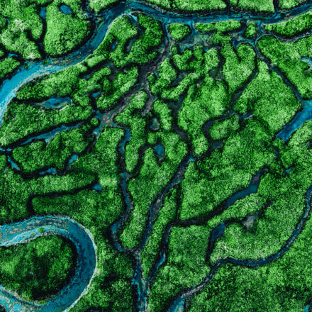 One year on: the Treaty, WIPO, Traditional Knowledge, and patents