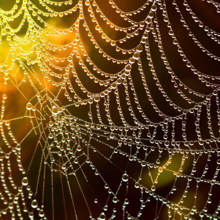 Collaborating? Here’s how to avoid a web of IP issues